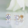 Gold Stud Earrings For Women