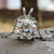 moissanite moissanite