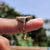 moissanite wedding ring moissanite wedding ring
