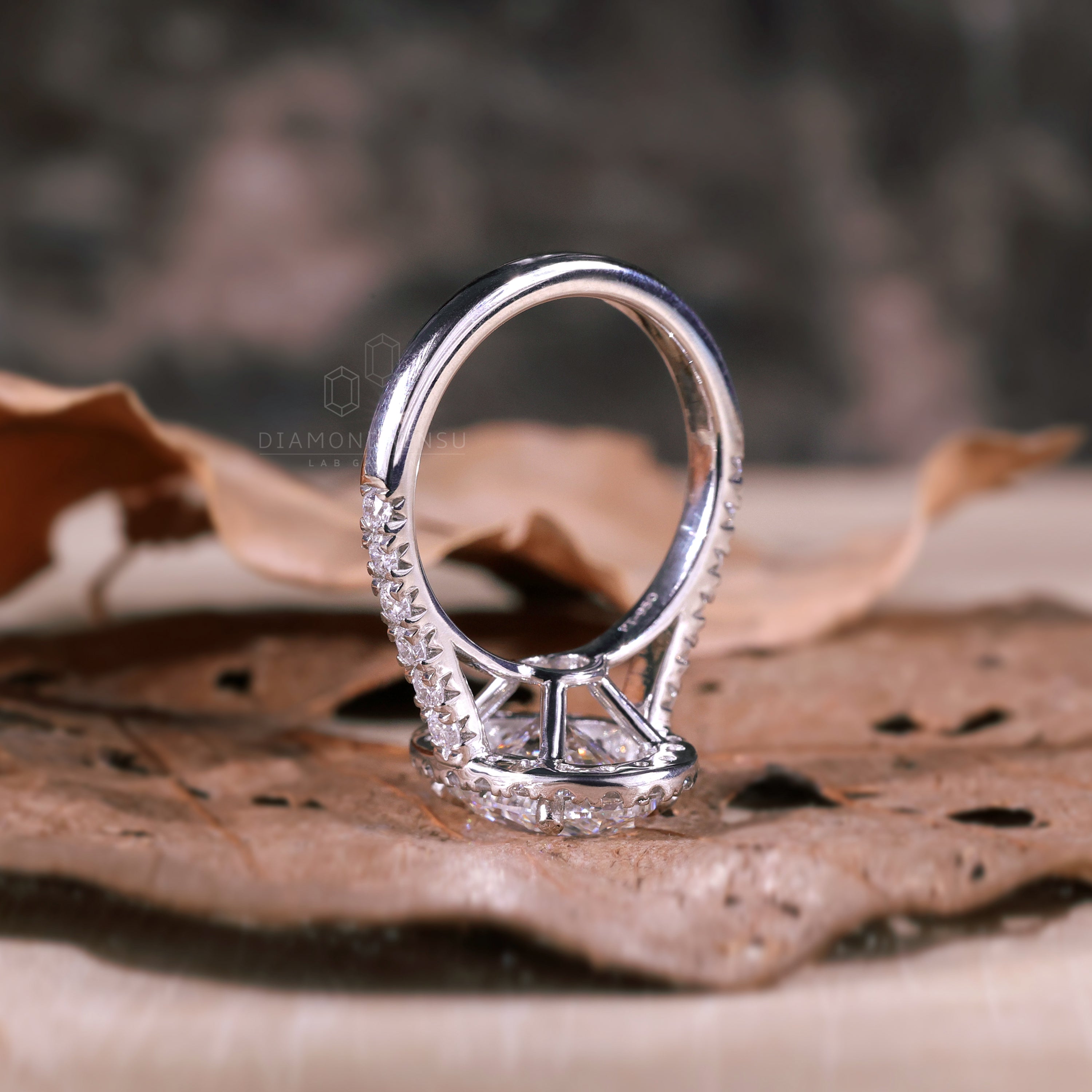 Timeless halo diamond ring with a claw prong cathedral design.