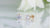 Gold Stud Earrings For Women
