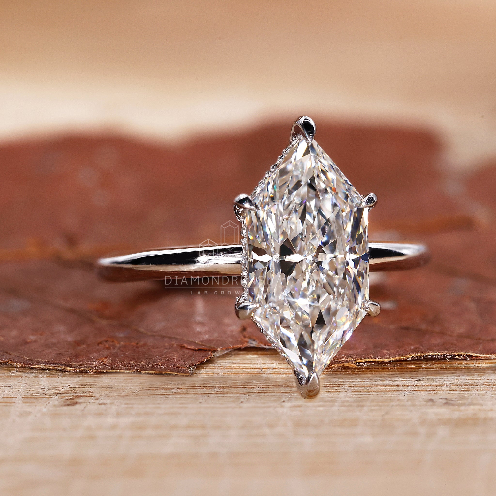 Round cut hidden halo in white gold diamond ring.
