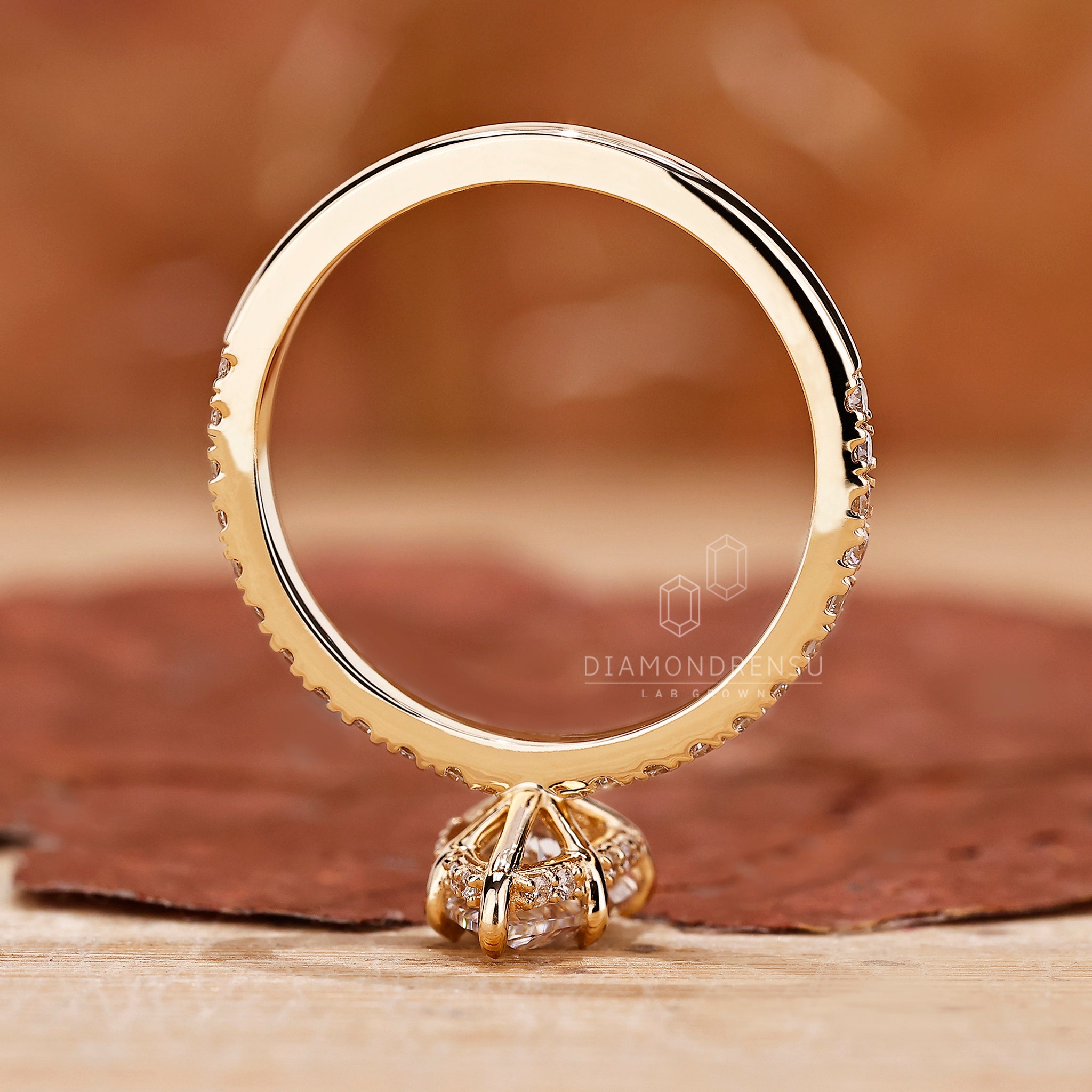 Diamondrensu UK engagement ring with round cut hidden halo.
