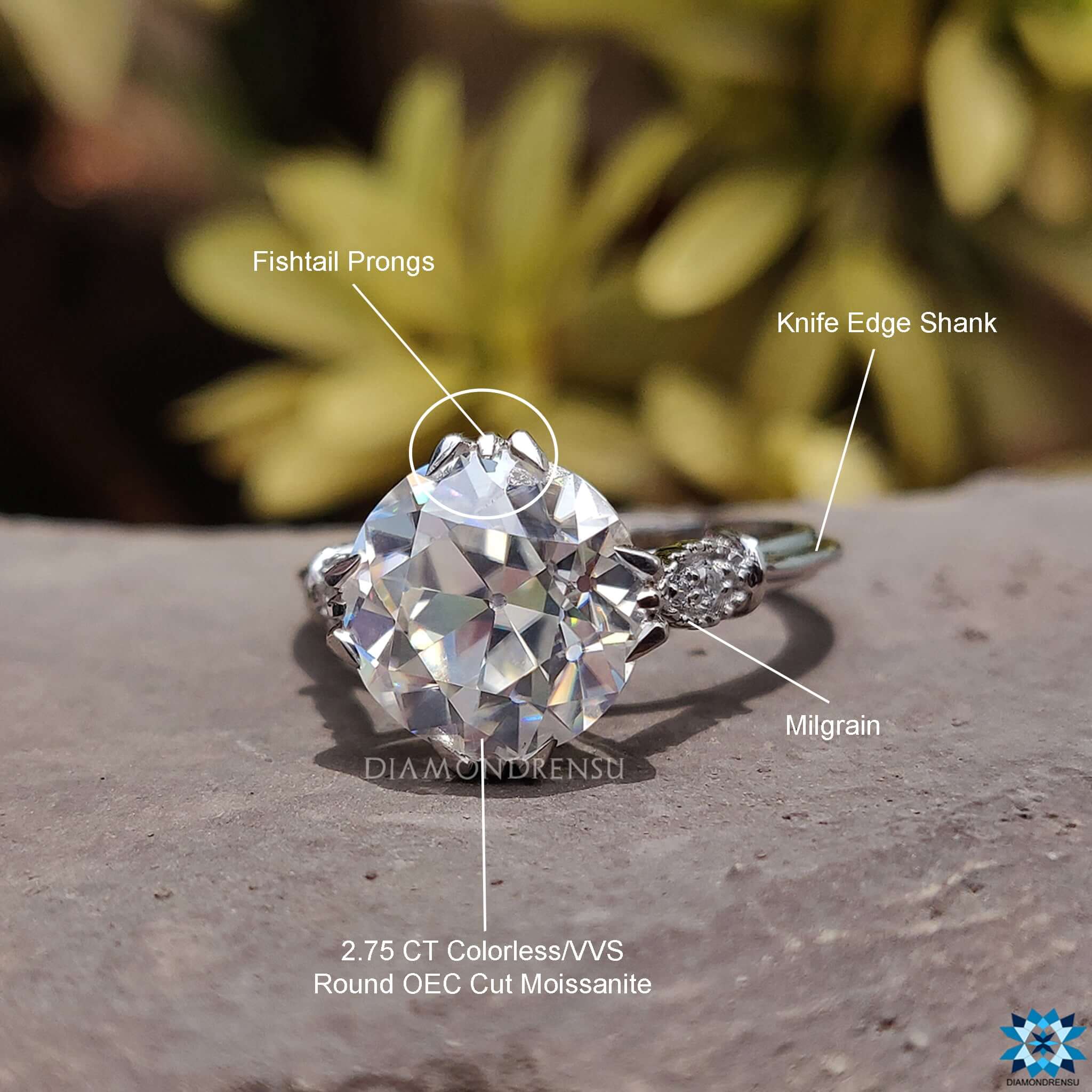 Moissanite for Engagement Ring in Classic Design.
