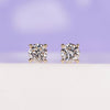 0.50 carat total diamond stud earrings.
