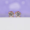 Rose gold stud earrings with round lab grown diamonds in prong setting.
