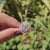 moissanite jewelry - diamondrensu