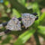 moissanite jewelry