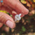 4 claw prong setting secures oval and pear cut moissanite.
