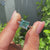 Cyan blue cushion cut moissanite ring with four tab prong setting and hammer finish.

