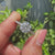 White gold engagement ring featuring 4 claw prong and pave band.

